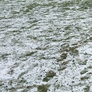 Meet your Posher, Nel